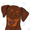 flat750x075f pad750x1000f8f8f8 4 - Doberman Gifts