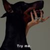 flat750x075f pad750x1000f8f8f8.u15 2 - Doberman Gifts