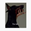 mp840x830mattef8f8f8t pad1000x1000f8f8f8 6 - Doberman Gifts