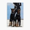 mp840x830mattef8f8f8t pad1000x1000f8f8f8 9 - Doberman Gifts